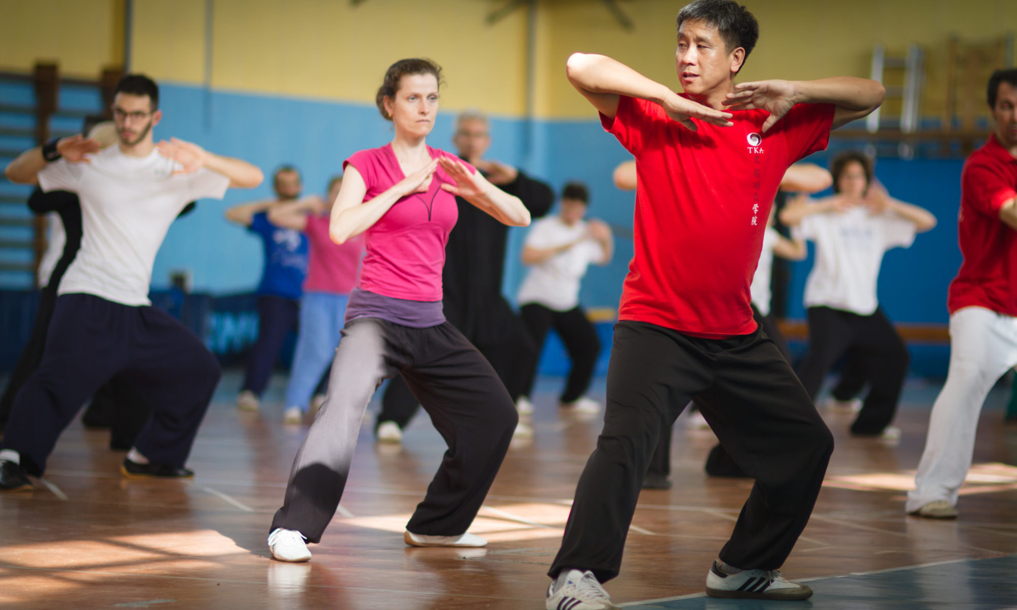 Seminario laojia yilu maestro Zhu Xiangqian